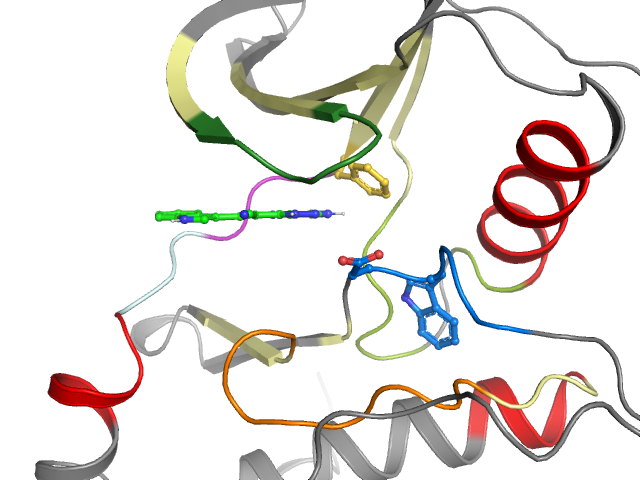 The orthosteric binding pocket