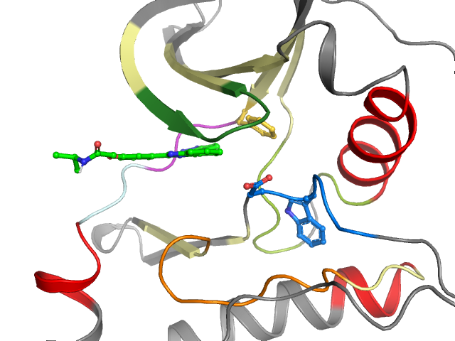 The orthosteric binding pocket