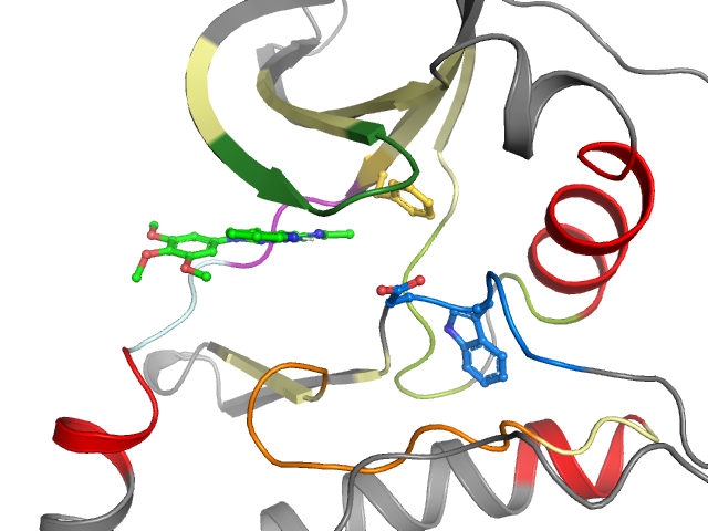 The orthosteric binding pocket
