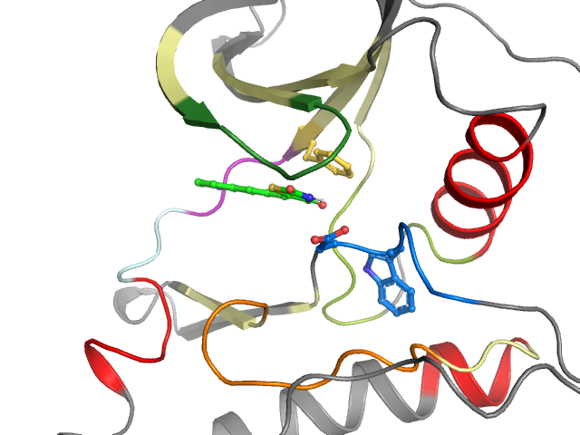The orthosteric binding pocket