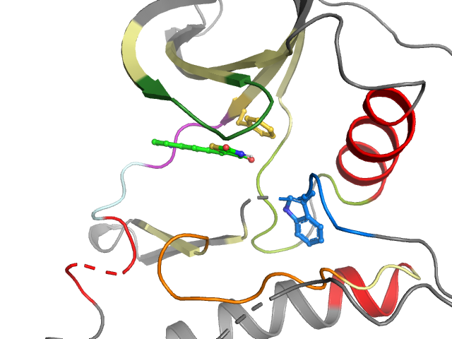 The orthosteric binding pocket