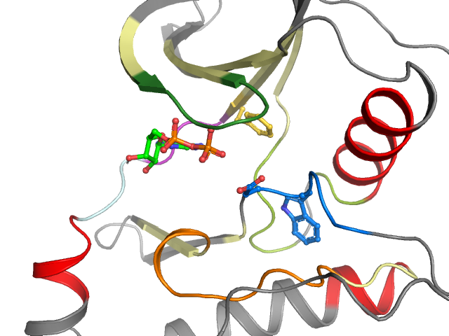 The orthosteric binding pocket