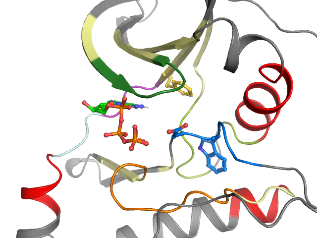 The orthosteric binding pocket
