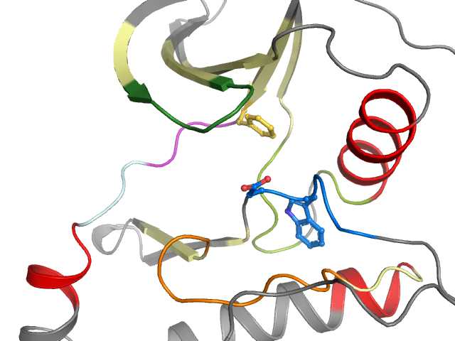 The orthosteric binding pocket