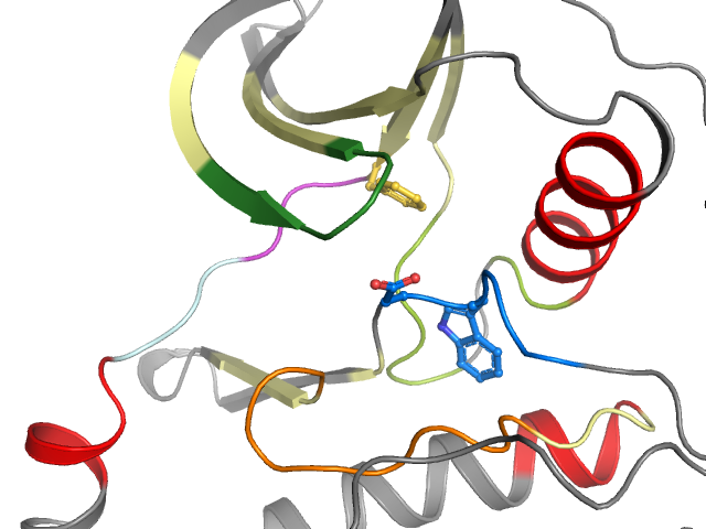 The orthosteric binding pocket