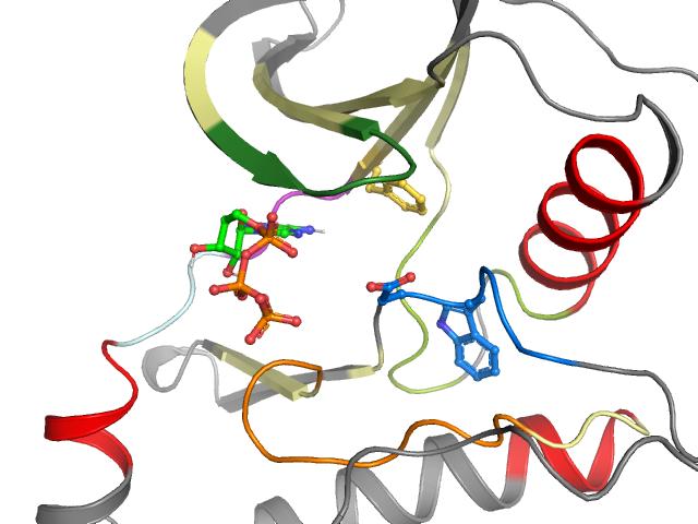 The orthosteric binding pocket