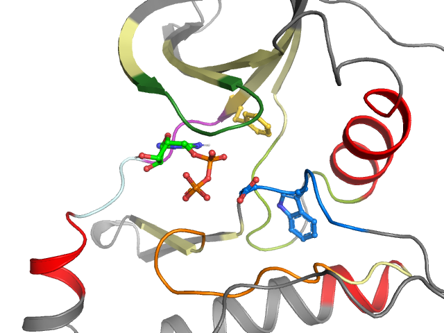 The orthosteric binding pocket