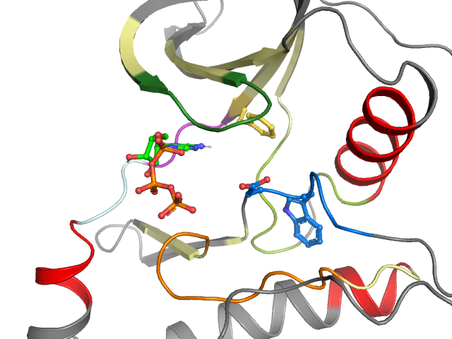 The orthosteric binding pocket