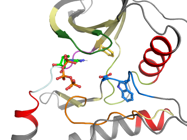 The orthosteric binding pocket