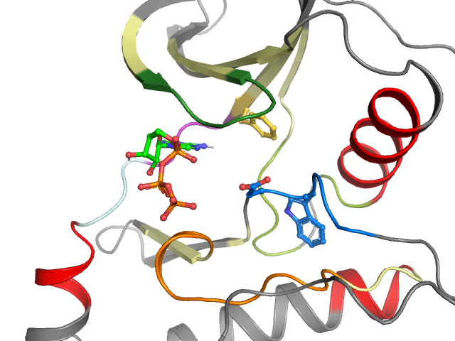 The orthosteric binding pocket