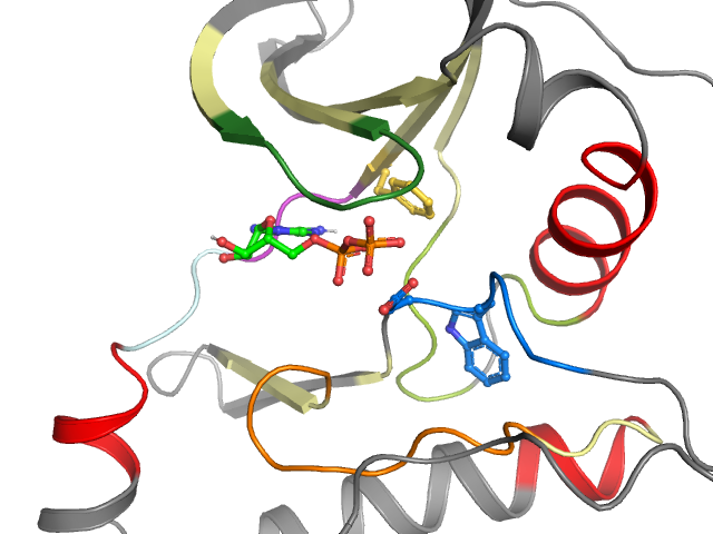 The orthosteric binding pocket