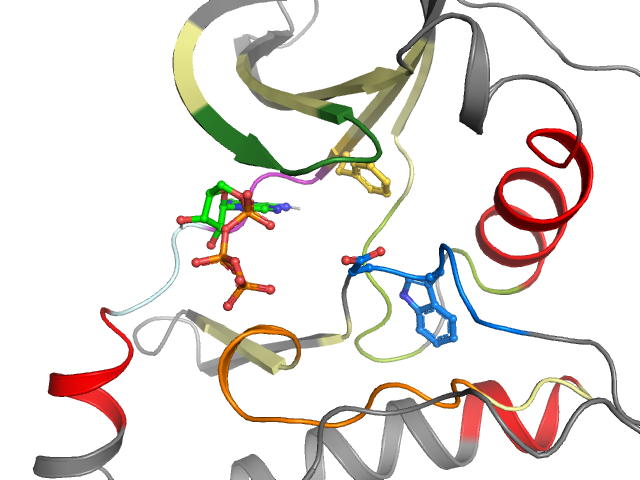 The orthosteric binding pocket