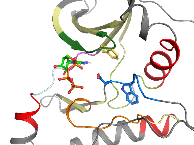 The orthosteric binding pocket