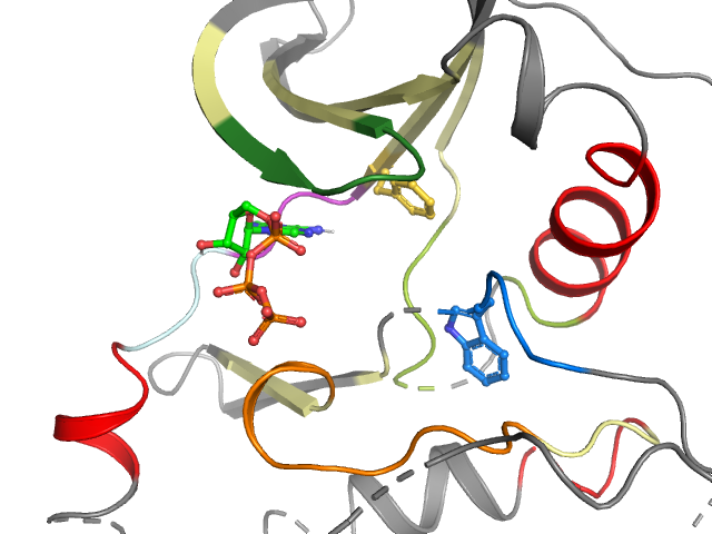 The orthosteric binding pocket