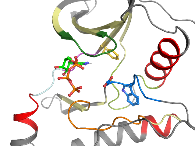 The orthosteric binding pocket