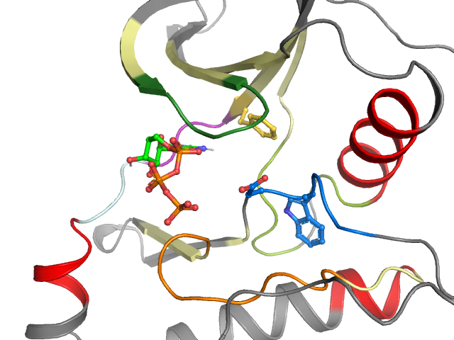 The orthosteric binding pocket