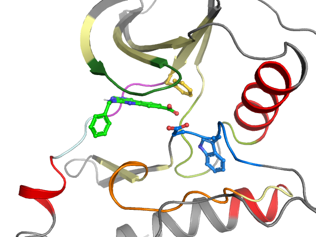 The orthosteric binding pocket