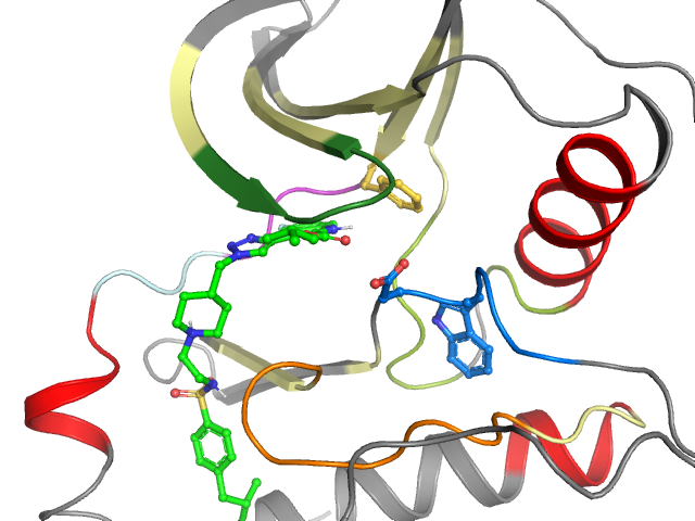 The orthosteric binding pocket