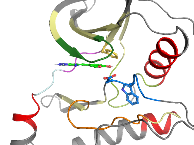 The orthosteric binding pocket