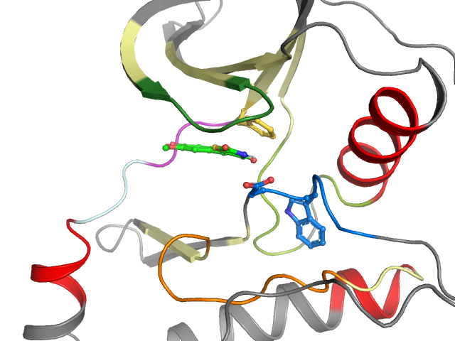 The orthosteric binding pocket