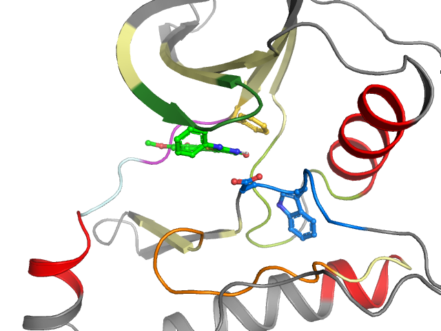 The orthosteric binding pocket
