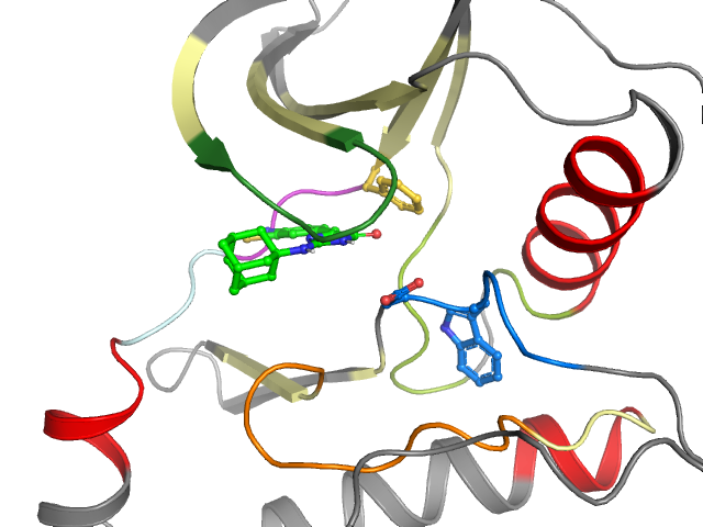 The orthosteric binding pocket