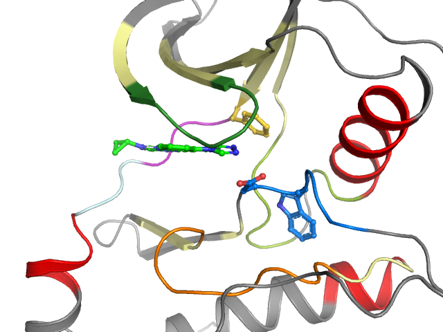 The orthosteric binding pocket