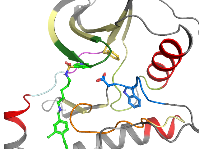 The orthosteric binding pocket