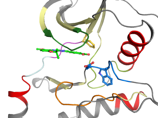 The orthosteric binding pocket