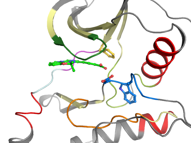 The orthosteric binding pocket