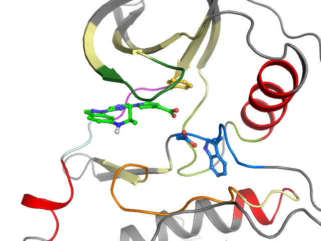 The orthosteric binding pocket