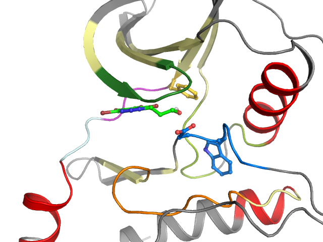 The orthosteric binding pocket