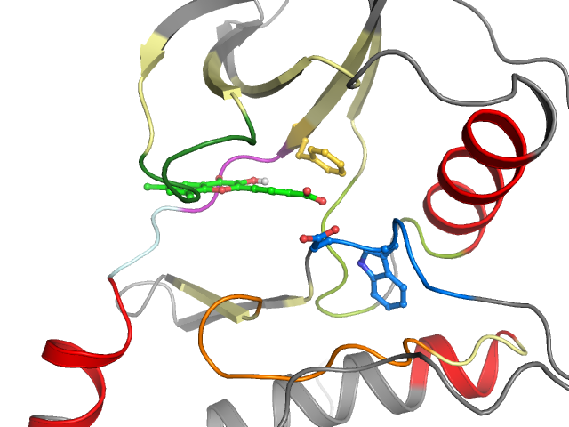 The orthosteric binding pocket
