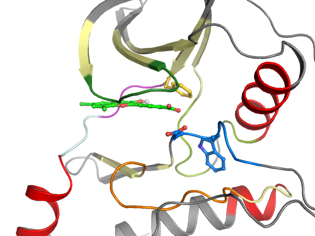 The orthosteric binding pocket