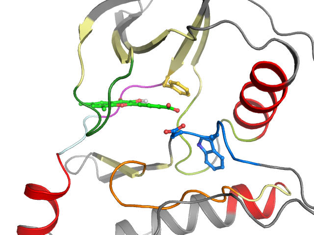 The orthosteric binding pocket