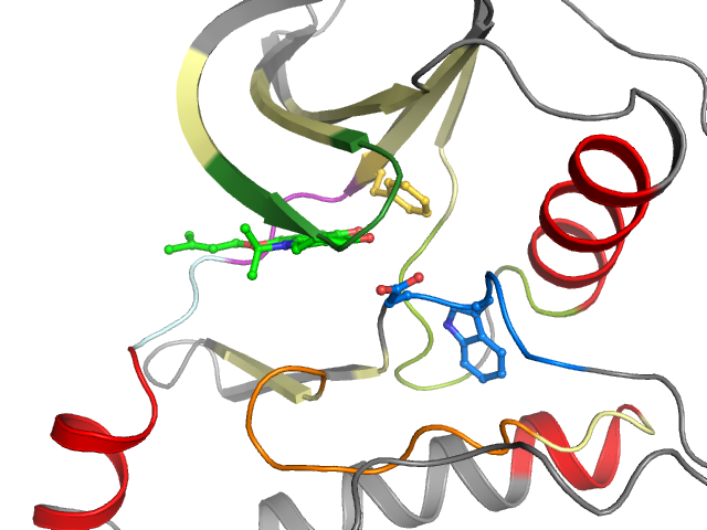 The orthosteric binding pocket