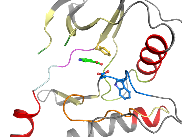 The orthosteric binding pocket