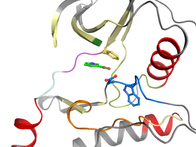 The orthosteric binding pocket