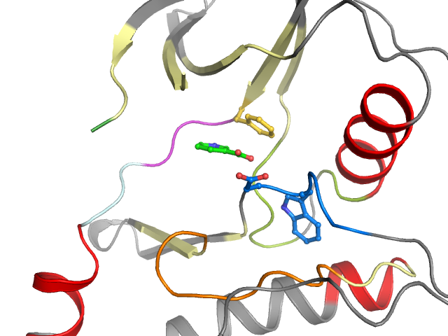 The orthosteric binding pocket