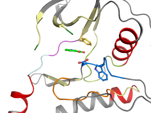 The orthosteric binding pocket