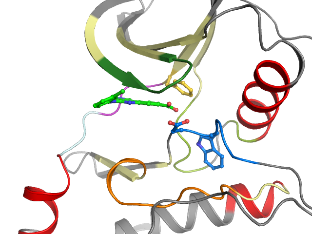 The orthosteric binding pocket