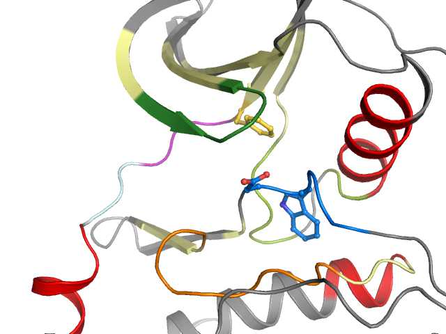 The orthosteric binding pocket