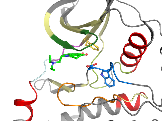 The orthosteric binding pocket
