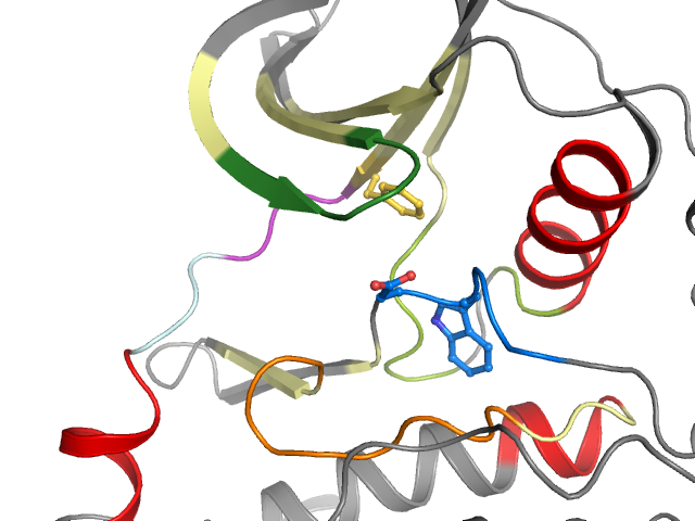 The orthosteric binding pocket