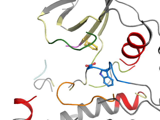 The orthosteric binding pocket