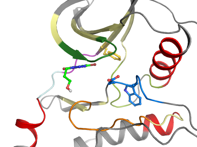 The orthosteric binding pocket