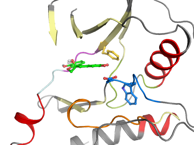 The orthosteric binding pocket