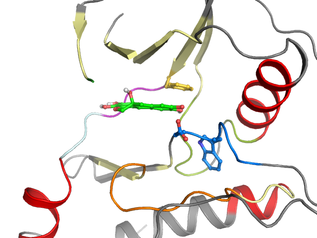 The orthosteric binding pocket