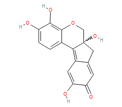2D structure of the orthosteric ligand