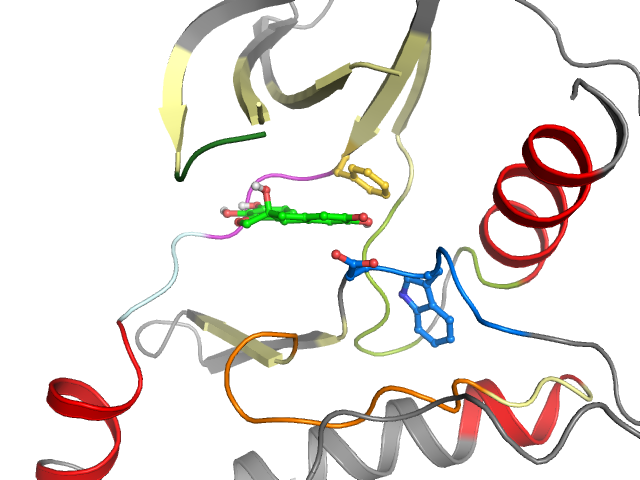 The orthosteric binding pocket